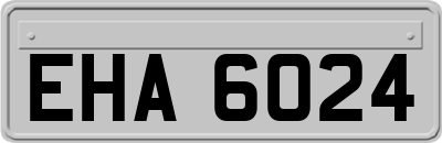 EHA6024