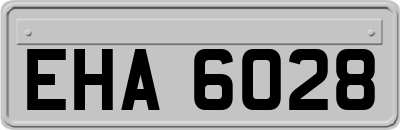 EHA6028