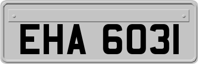 EHA6031