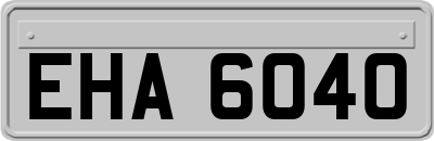 EHA6040