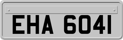 EHA6041