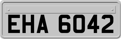 EHA6042