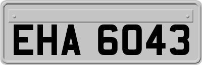 EHA6043
