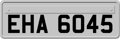 EHA6045
