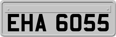 EHA6055