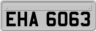 EHA6063