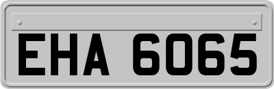 EHA6065