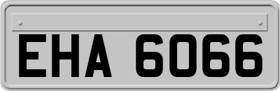 EHA6066