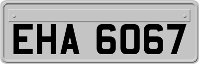 EHA6067