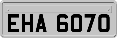 EHA6070