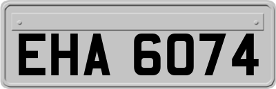 EHA6074