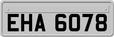 EHA6078