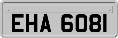 EHA6081