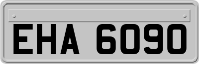 EHA6090