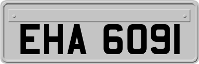 EHA6091