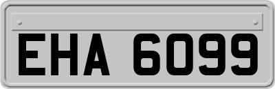 EHA6099
