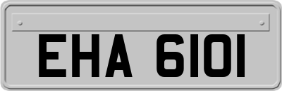 EHA6101