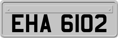EHA6102