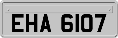 EHA6107