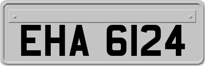 EHA6124