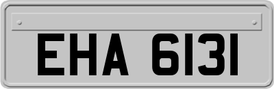 EHA6131