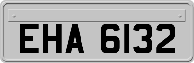 EHA6132