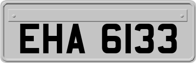 EHA6133