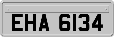 EHA6134
