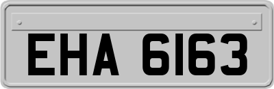 EHA6163