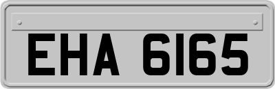 EHA6165