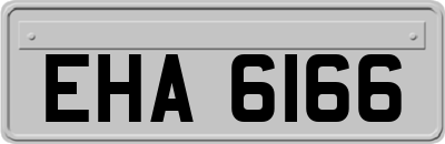 EHA6166