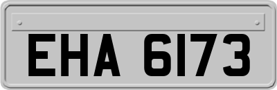 EHA6173