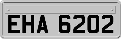 EHA6202