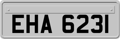 EHA6231