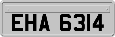 EHA6314