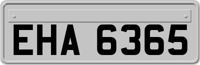 EHA6365