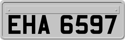 EHA6597