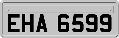 EHA6599