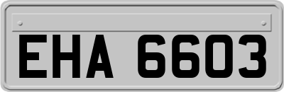 EHA6603