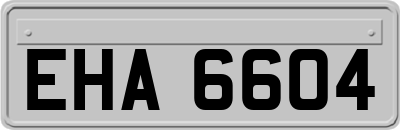 EHA6604