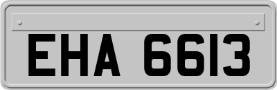 EHA6613