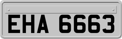 EHA6663
