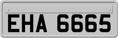 EHA6665