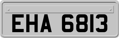 EHA6813
