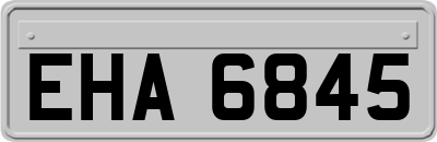 EHA6845