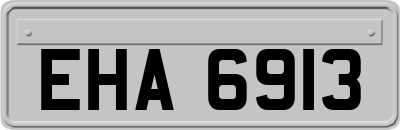 EHA6913