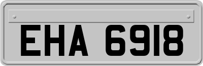 EHA6918