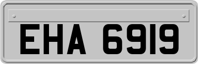 EHA6919