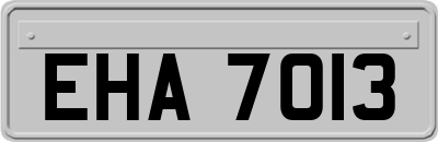 EHA7013