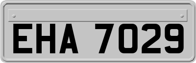 EHA7029